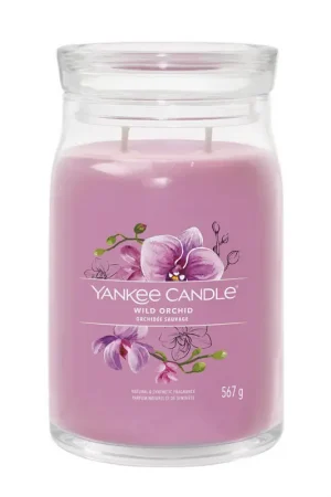 Expédié Aujourd'hui Bougie jarre parfumée Orchidée sauvage 100h