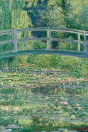 Papier Peint - Water Lily 225x250cm - Intissé Paiement Sécurisé