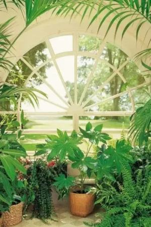 Bon Marché Papier Peint - Wintergarden 384x260cm - Intissé