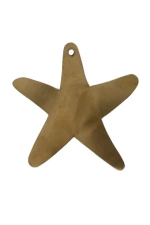 Prix Choc Déco murale étoile de mer en laiton