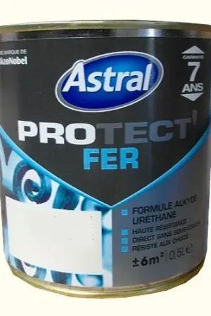 ASTRAL Peinture Protect'Fer Blanc Cassé Brillant Prix Bas