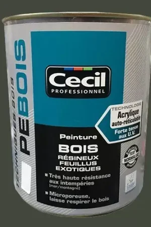 Peinture Bois "CECIL PE BOIS" Vert Normand Offre Spéciale