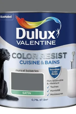 Meilleur Prix Peinture acrylique Dulux Valentine Color Resist Cuisine & Bains Anthracite