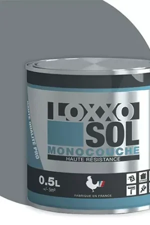 Peinture Sol Haute Résistance LOXXO Telegris 2 Satisfait Ou Remboursé