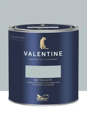 Peinture Valentine Murs et boiseries DULUX VALENTINE Myosotis timide Authentique