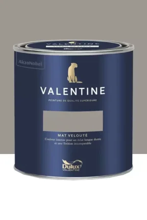 Peinture Valentine Murs et boiseries DULUX VALENTINE Gris chimère Meilleure Vente