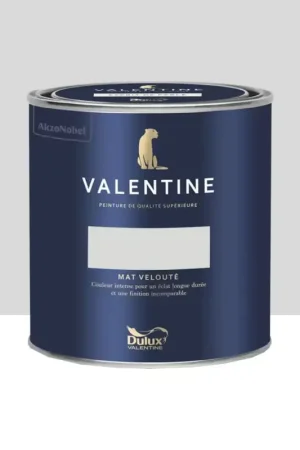 Peinture Valentine Murs et boiseries DULUX VALENTINE Blanc Frisson Prix Choc