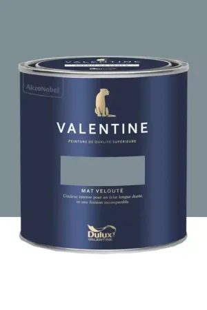 Peinture Valentine Murs et boiseries DULUX VALENTINE Equinoxe paisible Haute Qualité