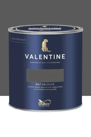 Peinture Valentine Murs et boiseries DULUX VALENTINE Noir magnetite Livraison Express