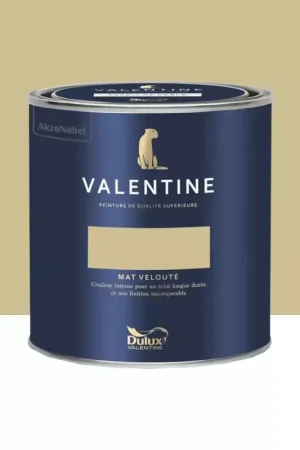 Peinture Valentine Murs et boiseries DULUX VALENTINE Rêve épicé Prix Réduit