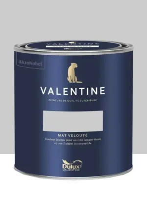 Super Prix Peinture Valentine Murs et boiseries DULUX VALENTINE Esquisse cendrée