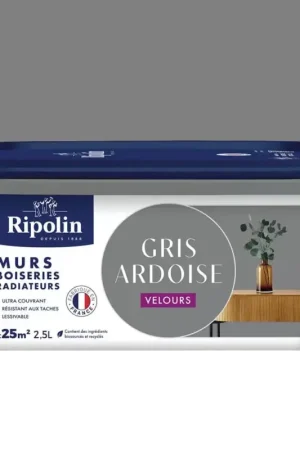 Peinture murs, boiseries, radiateurs RIPOLIN Velours Gris Ardoise Acheter Direct