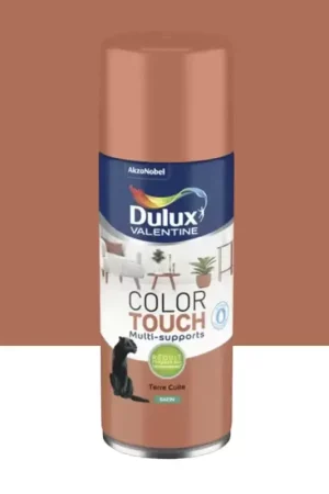 Bombe aérosol de peinture DULUX VALENTINE Color Touch Terre cuite satin Bon Marché