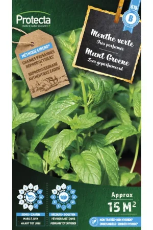 Petit Prix Semences de menthe verte PROTECTA