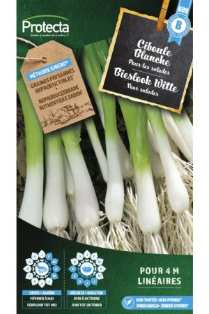 Semences de ciboule Blanche PROTECTA Produit De Marque