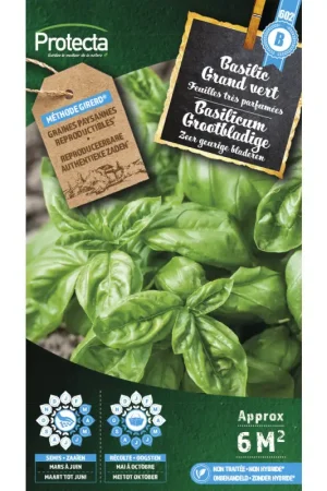 Bon Plan Semences de basilic Grand vert PROTECTA