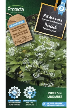 Semences d'ail des ours PROTECTA Prix Choc
