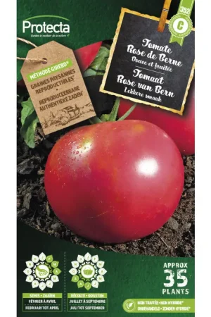 Bon Plan Semences de tomate Rose de Berne PROTECTA