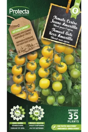 Semences de tomate Cerise Jaune Amarilla PROTECTA Dernier Modèle
