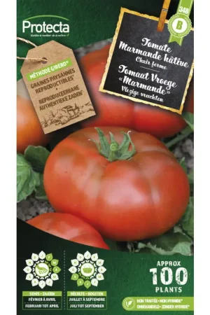 Semences de tomate Marmande hâtive PROTECTA Populaire