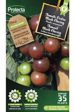 Acheter Direct Semences de tomate Cerise Black Cherry PROTECTA