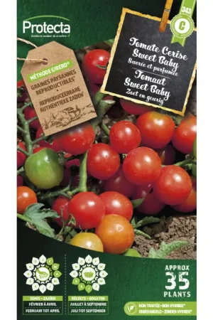 Semences de tomate Cerise Sweet Baby PROTECTA Affaire À Saisir