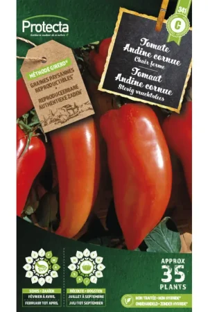 Semences de tomate Andine cornue PROTECTA Prix Réduit