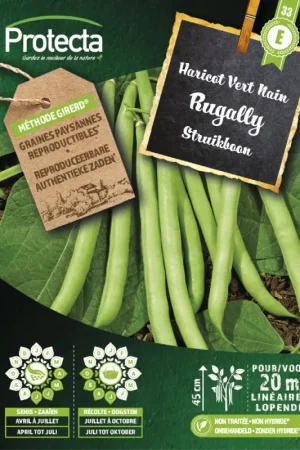 Semences d'haricot Vert Nain Rugally PROTECTA Offre Limitée