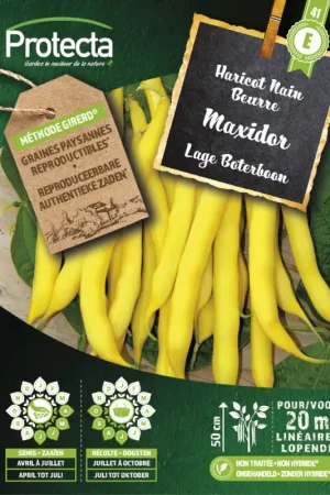 Offre Exclusive Semences d'haricot Nain Beurre Maxidor PROTECTA