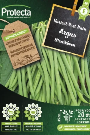 Must-Have Semences d'haricot Vert Nain Argus PROTECTA
