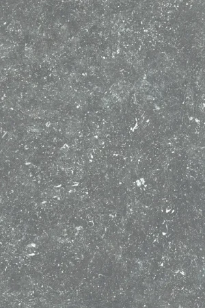 Prix Cassé Carrelage de sol extérieur Europe Dolmen gris foncé 60 x 60 cm 2 pièces PRO-FIX