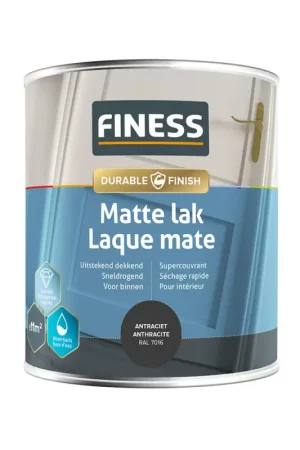Dernier Modèle Laque mate gris anthracite 0,75 L FINESS