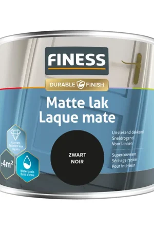 Laque mate noire 0,25 L FINESS Achetez Aujourd'hui