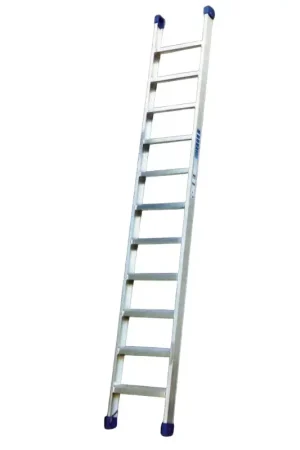Achetez Aujourd'hui Echelle industrielle simple 1 x 10 échelons ESCALO