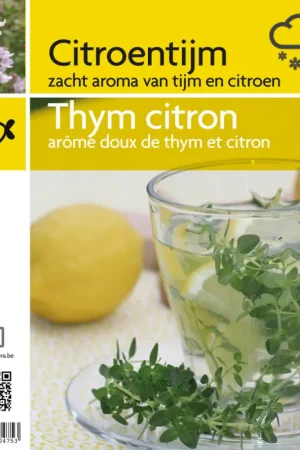 Thym citron en pot Promotion Saisonnière