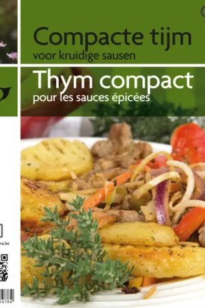 Thym compact en pot Expédition Rapide