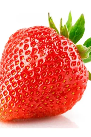 Fraisier Elsanta en pot Promotion Saisonnière