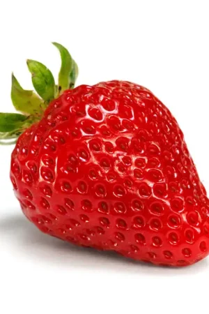 Promotion Fraisier Rabunda en pot
