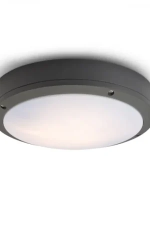 Plafonnier d'extérieur SONNY gris anthracite 230V LED E27 2x15W IP54 Pas Cher