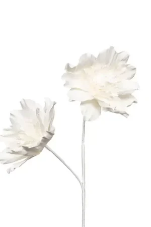 Remise FLEUR EMILIA