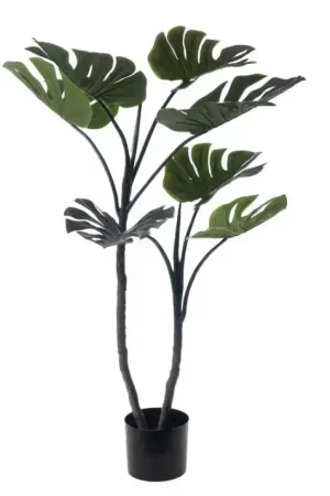 MONSTERA EN POT H130CM Haute Qualité