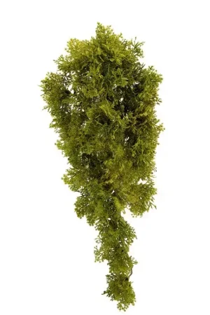 Nouvel Arrivage PIQUET MOUSSE LICHEN